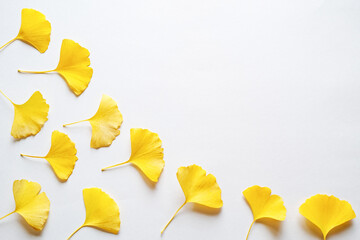 白い紙の上に斜めに並べて置いた複数の黄色いイチョウの葉