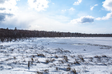 荒涼とした大地