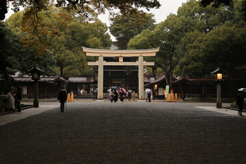 Obraz premium 鳥居
