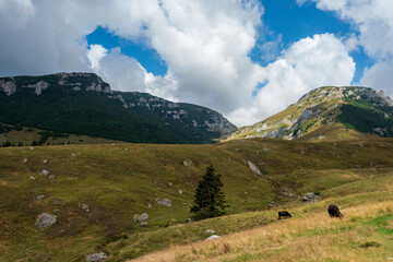 View from Bucegi mountains, Romania, Bucegi National Park