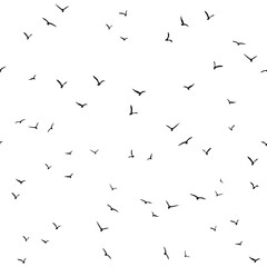 Seamless abstract pattern with black flying birds on white background.