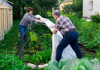 mature couple sets a greenhouse at a garden plot © caftor