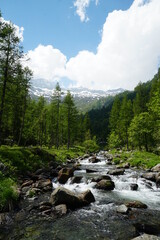 balme, italia, mountain, nature, spring