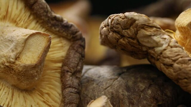 Group of dried whole shiitake mushrooms close up full frame