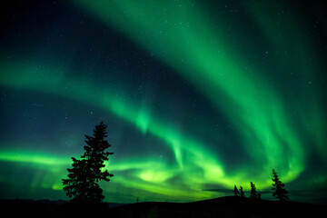 Shot van de aurora borealis, Dawson City, Yukon, Canada