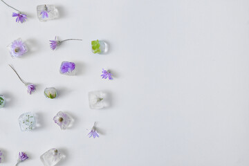 Beautiful flowers frozen in ice on light background