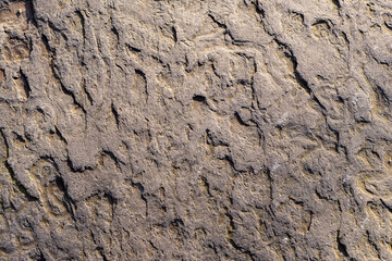 Stone surface texture. Abstract background