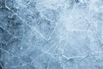 Tuinposter ice blue background © Olga Burmistrova