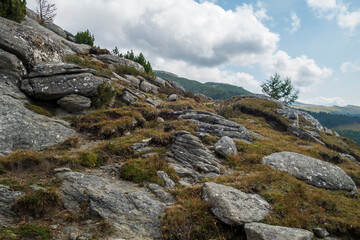 View from Bucegi mountains, Romania, Bucegi National Park