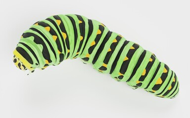 Realistic 3D Render of Old World Caterpillar