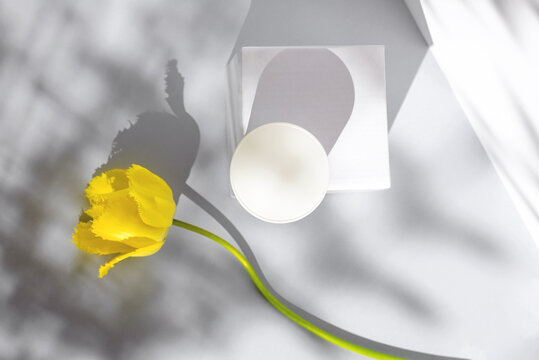 Composition with a jar of cream, cube, yellow tulip and shadows. Concept on the theme of youth and beauty