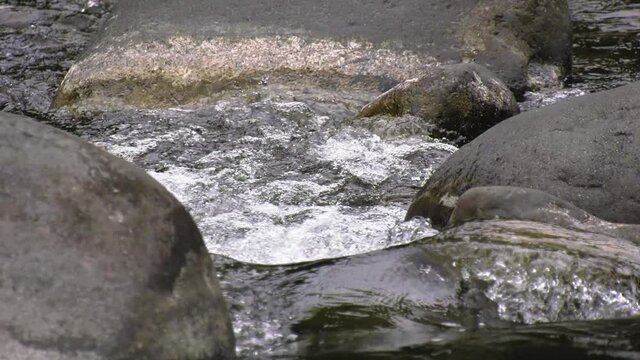 Rivière naturelle de Bras Canot à l'île de La Réunion montrant des galets de pierre et de l'eau douce des montagnes. La végétation autour de la rivière est tropicale et l'eau de la rivière est claire