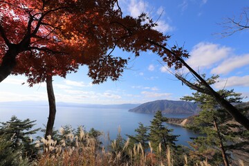 奥琵琶湖パークウェイ　紅葉