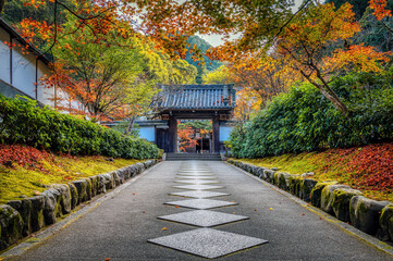 Autumn foliage in Nanzenji Temple, Kyoto, Japan. Pathway to the entrance gate.