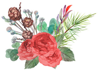 Winter bouquet with needles and red rose flowers and a brunei branch for winter cards painted in watercolor isolated on a white background
