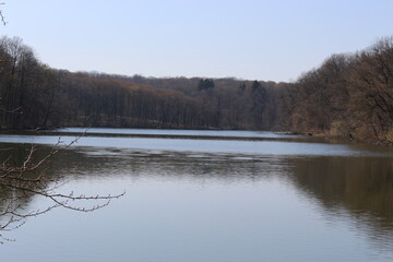 Nature comes to life in spring on the shore of a forest lake