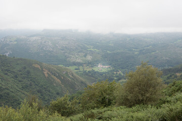 Fototapeta premium Landscape of hills covered in greenery and fog in Cantabria, Spain