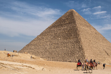 Fototapeta na wymiar Camels and dromedaries walking past the great pyramid of Giza, Egypt 