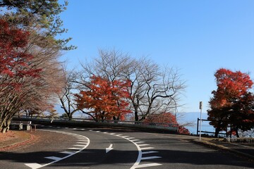 Obraz premium 奥琵琶湖パークウェイ 紅葉