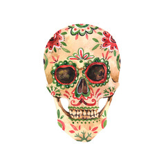 Watercolor sugar skull on white background