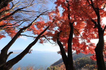 奥琵琶湖パークウェイ　紅葉