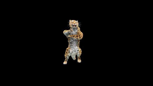 
Leopard Dancing CG fur, 3d rendering, animal realistic CGI VFX. composition 3d mapping, cartoon, Included in the end of the clip with Alpha matte.