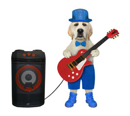 A dog musician in a blue hat, shorts and shoes plays the guitar near a loudspeaker. White...