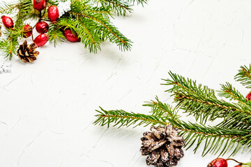 Christmas tree branches with pine cones and rosehip berries on white putty background