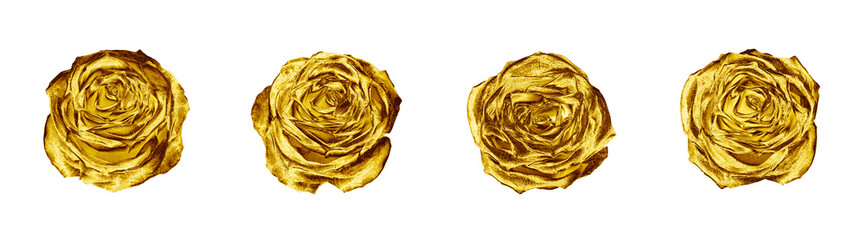 Golden rose flowers set white background isolated close up, four gold roses, shiny yellow metal flower heads, decorative design element, floral pattern, beautiful vintage decoration, retro style decor