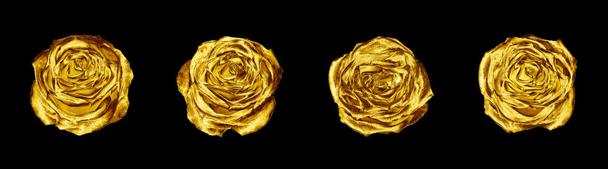 Golden rose flowers set black background isolated close up, four gold roses, shiny yellow metal...
