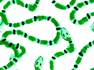 Snake Seamless Pattern.