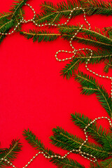Christmas background with fresh Xmas tree branches and New Year gold beads on red background