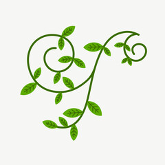 Ornamental branch wreathes