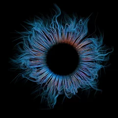 Foto op Plexiglas Abstract representation of a human eye. A ring of blue and multicolored fibers against a black background. 3D render / rendering © Anita Ponne