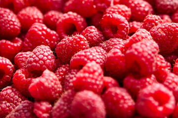 Fresh raspberries, heap of red ripe summer berries