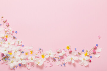 Obraz na płótnie Canvas spring flowers on pink background