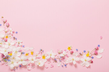 spring flowers on pink background