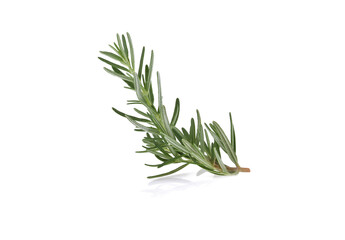Fototapeta premium Rosemary isolated on white background