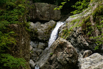 Obraz premium みたらい渓谷