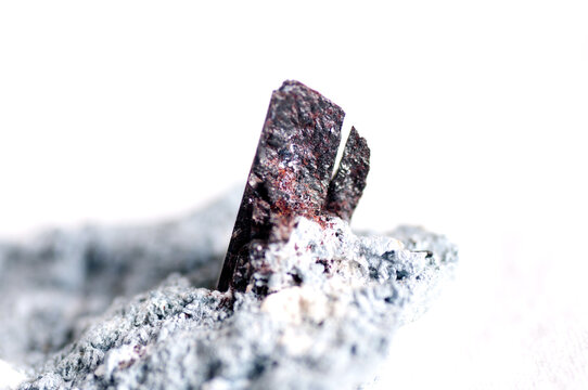 neptunite, natrolite on crossite - Powered by Adobe