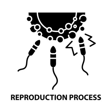 reproduction process icon, black vector sign with editable strokes, concept illustration