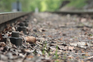 The Remain of the last Autumn #1