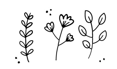 Hand drawn illustration flowers