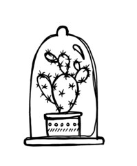 hand drawn illustration cactus under bell jar