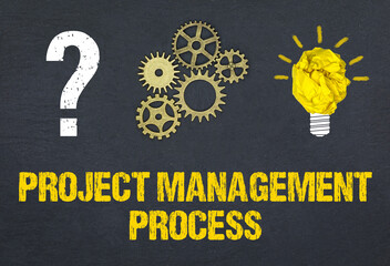 Obraz premium Project Management Process