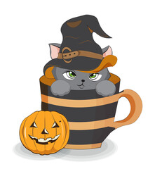 Halloween cat in cup