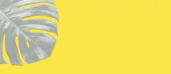 Horizontales Banner mit grauem tropischem Blatt Monstera auf trendigem gelbem Hintergrund. Illuminating Yellow und Ultimate Grey, die Farben des Jahres 2021 © lizaelesina