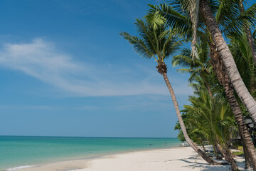beach and sea, Holiday and vacation, nice tropical beach with palms, White clouds with blue sky 
