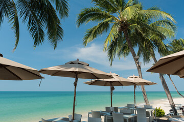 beach and sea, Holiday and vacation, nice tropical beach with palms, White clouds with blue sky 
