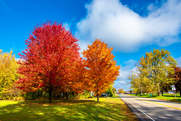 Naklejka premium A church with beautiul autumn colours in Wisconsin of USA